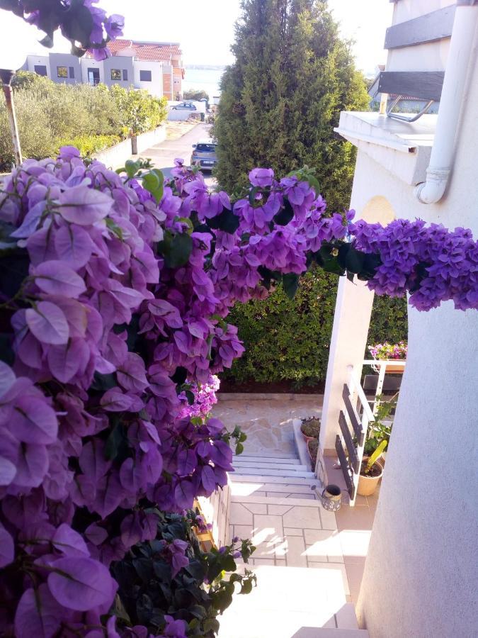 Apartman Milutin Vrsi Dış mekan fotoğraf